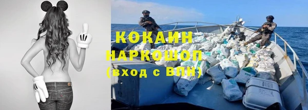 шишки Володарск